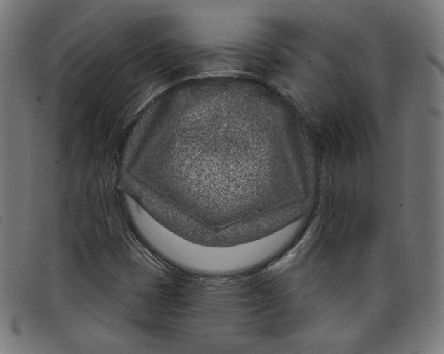 X0000098091401200804251244