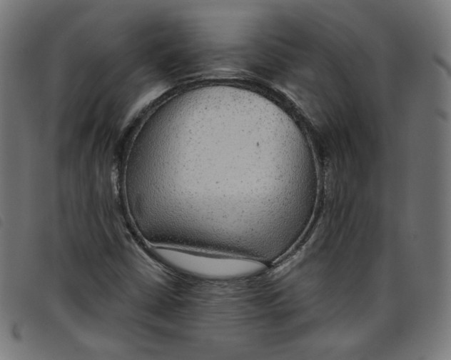 X0000098091402200804251244