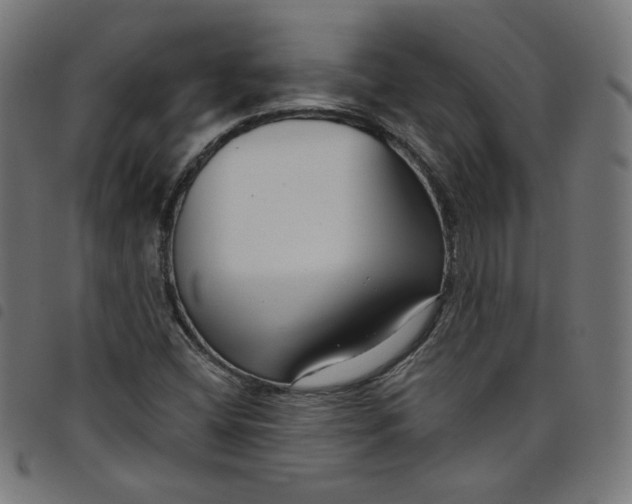 X0000098091404200804251244