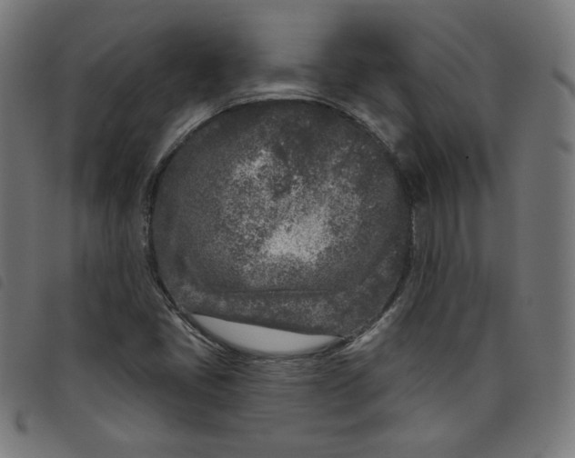X0000098091405200804251244
