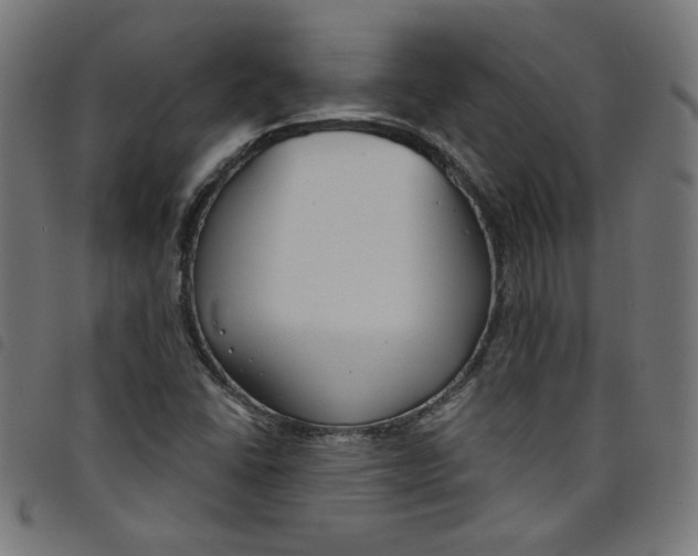 X0000098091406200804251244