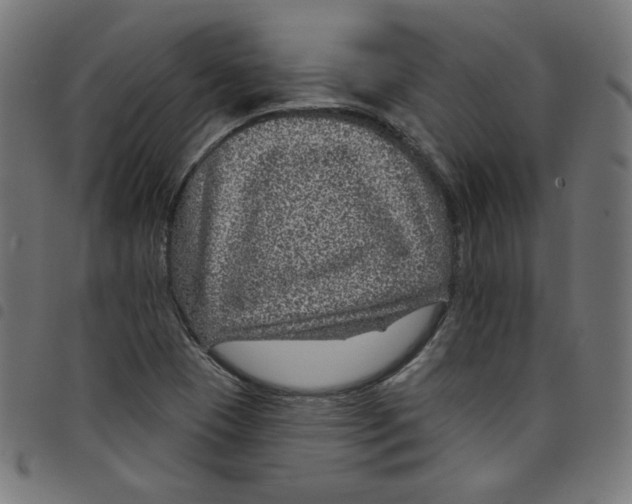 X0000098091409200804251244