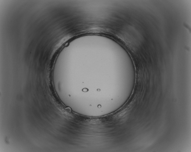 X0000098091410200804251244