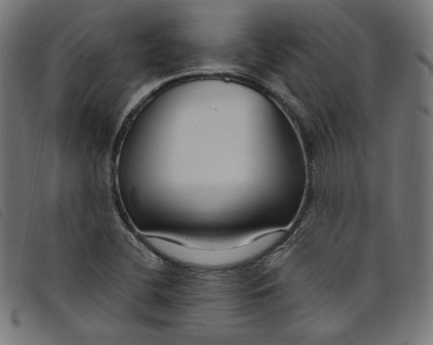 X0000098091412200804251244