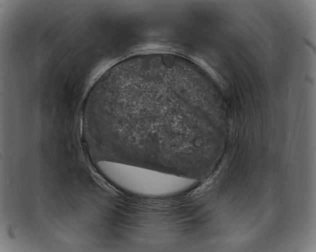 X0000098091413200804251244