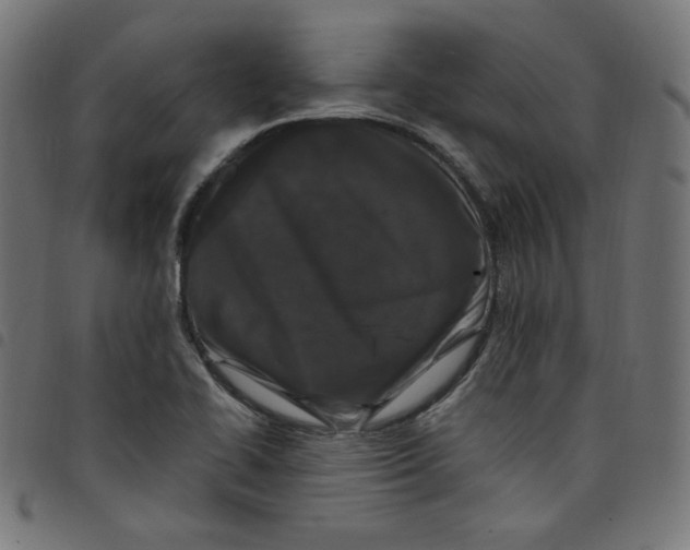 X0000098091414200804251244