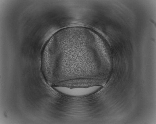 X0000098091415200804251244