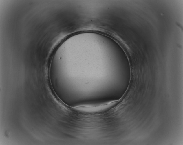 X0000098091416200804251244