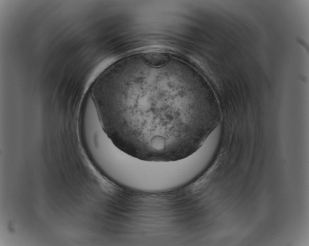 X0000098091418200804251244