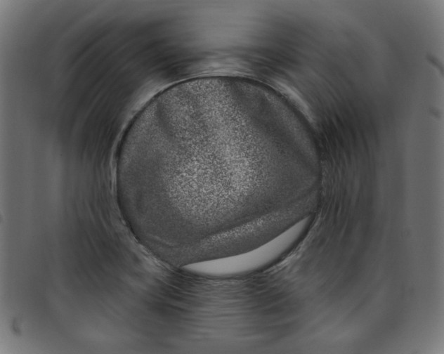 X0000098091419200804251244