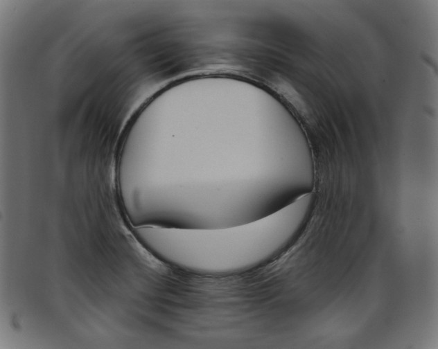 X0000098091420200804251244