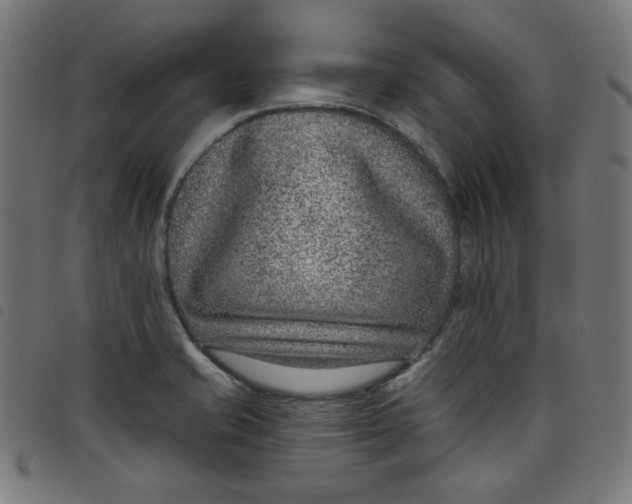 X0000098091421200804251244