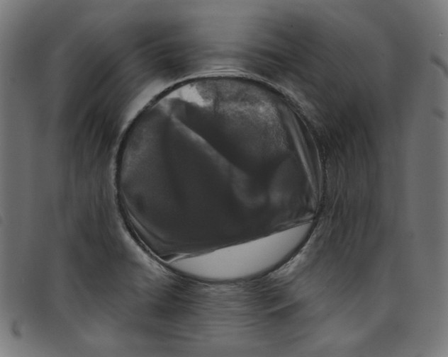 X0000098091422200804251244