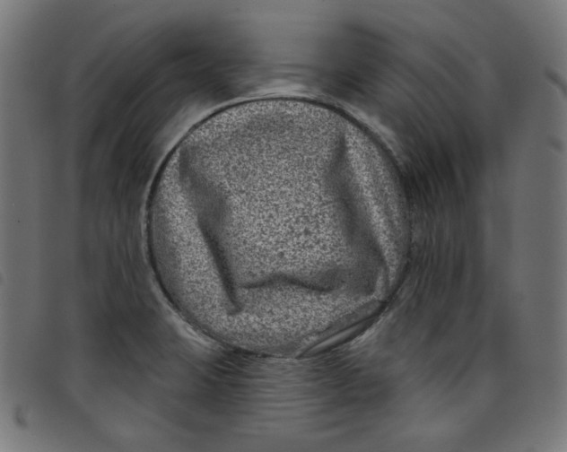X0000098091423200804251244