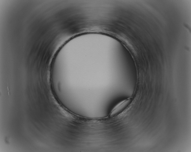X0000098091424200804251244