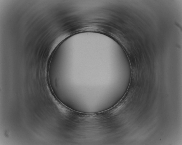 X0000098091426200804251244