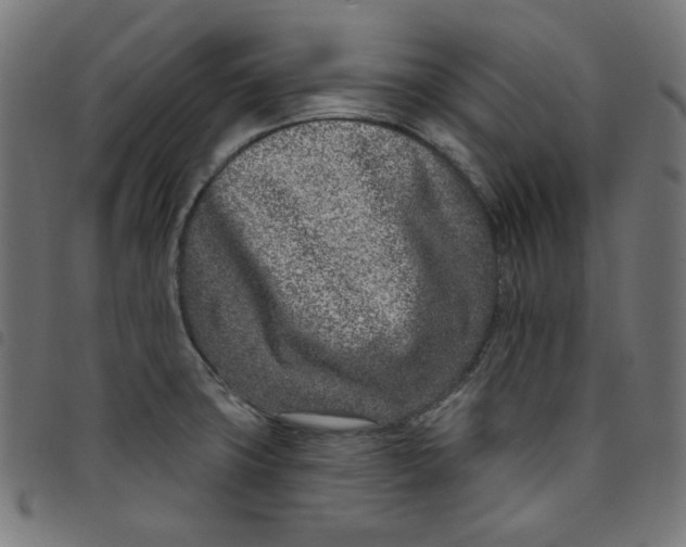 X0000098091427200804251244