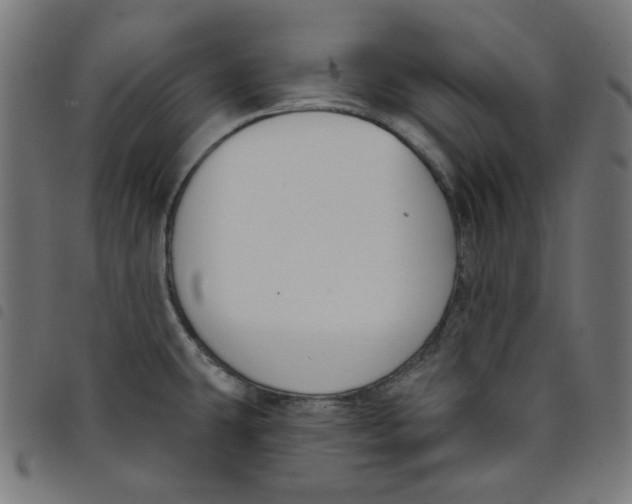 X0000098091431200804251244