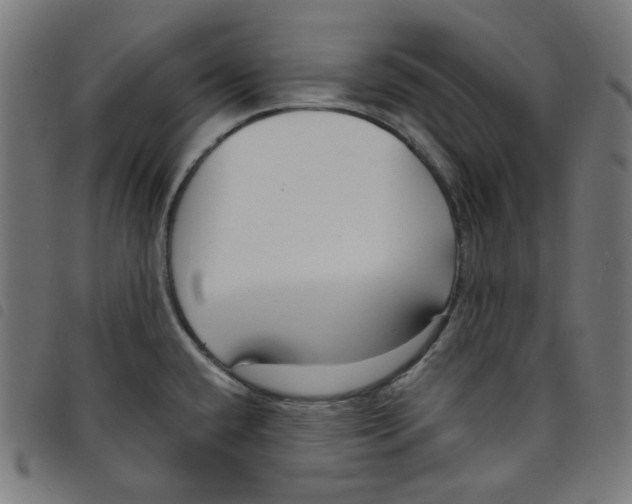 X0000098091432200804251244