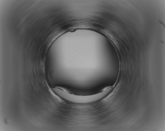 X0000098091433200804251244