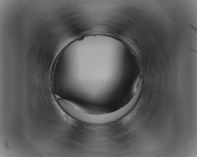 X0000098091434200804251244