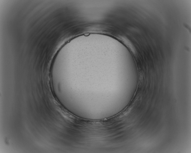X0000098091435200804251244