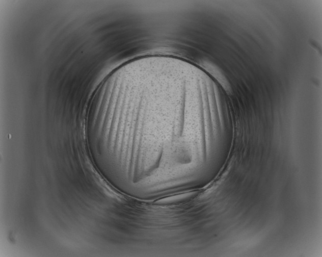 X0000098091436200804251244