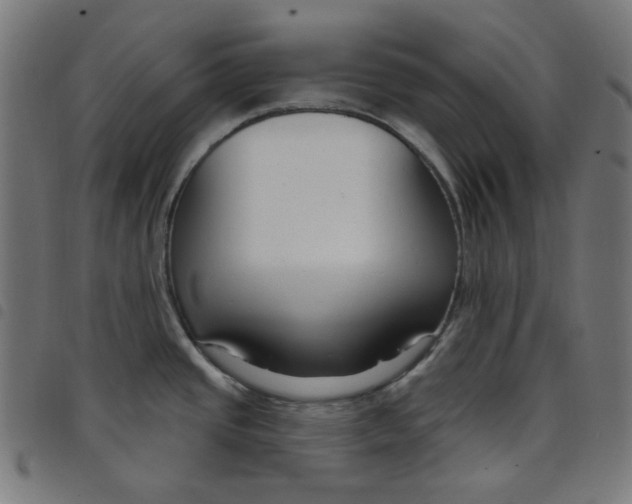 X0000098091437200804251244