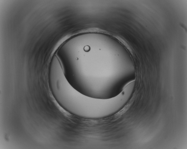 X0000098091438200804251244
