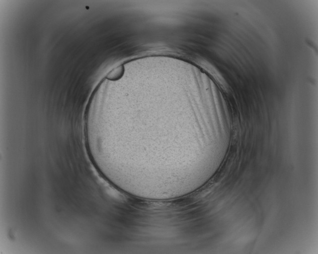 X0000098091439200804251244