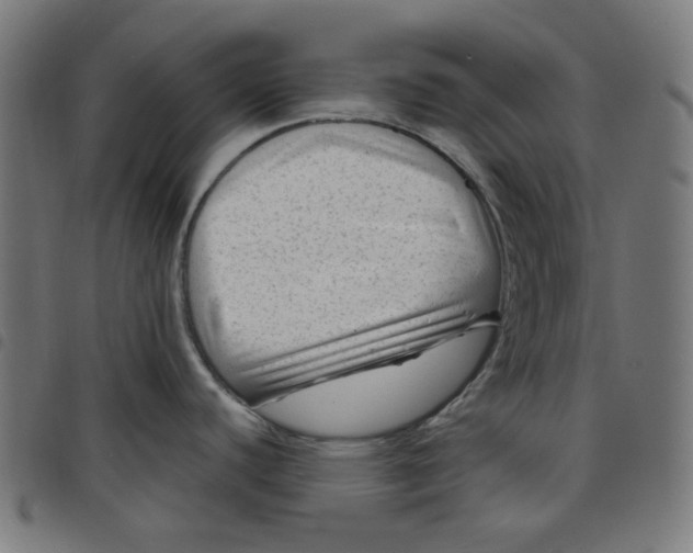 X0000098091440200804251244