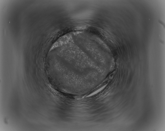 X0000098091441200804251243