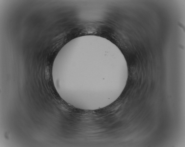 X0000098091442200804251243