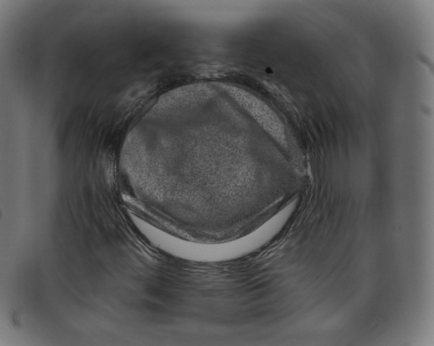 X0000098091444200804251243