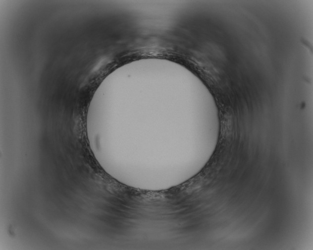 X0000098091446200804251243