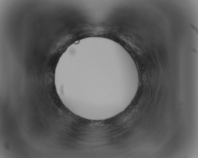 X0000098091447200804251243