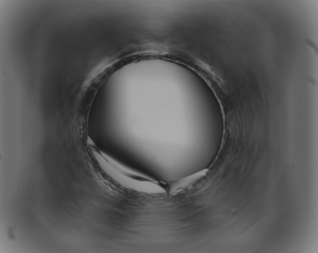 X0000098091448200804251243