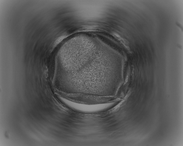 X0000098091449200804251243