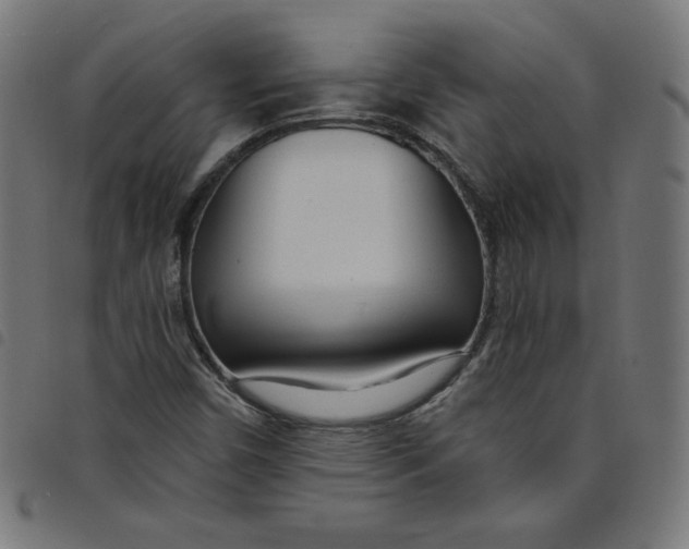 X0000098091450200804251243