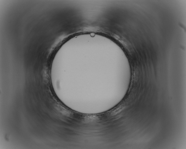 X0000098091454200804251243