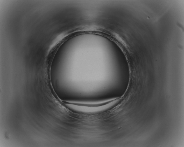 X0000098091456200804251243