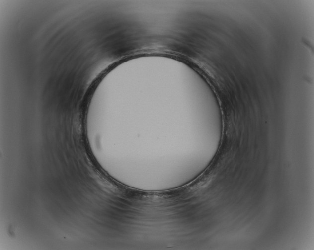 X0000098091458200804251243