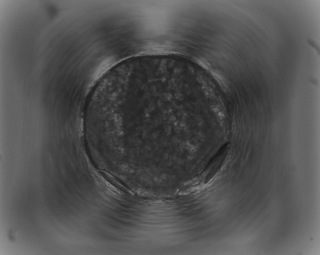 X0000098091459200804251243