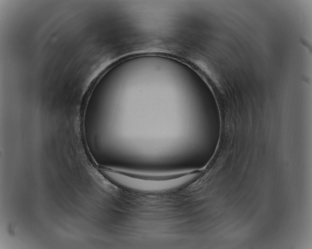 X0000098091460200804251243