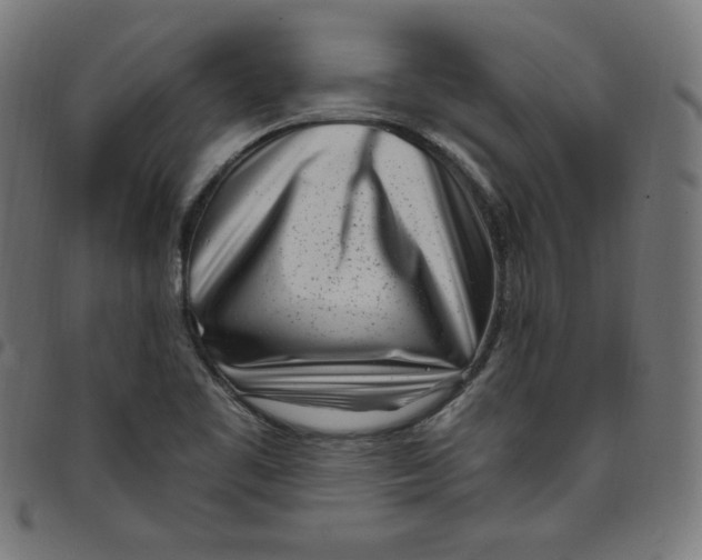 X0000098091461200804251243