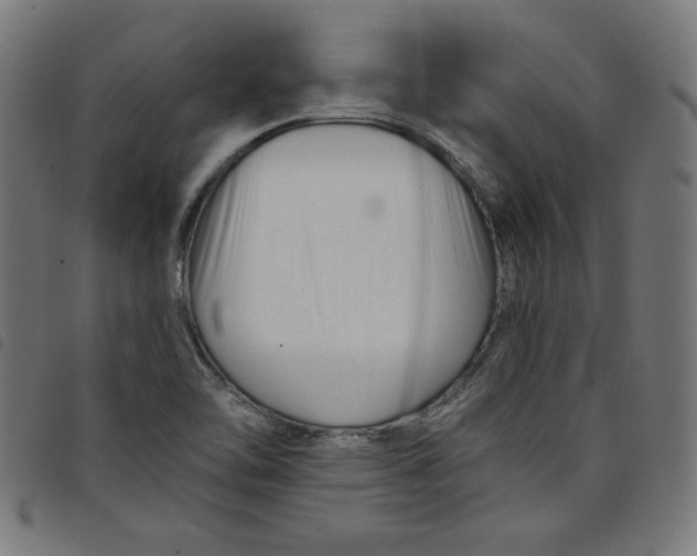 X0000098091462200804251243