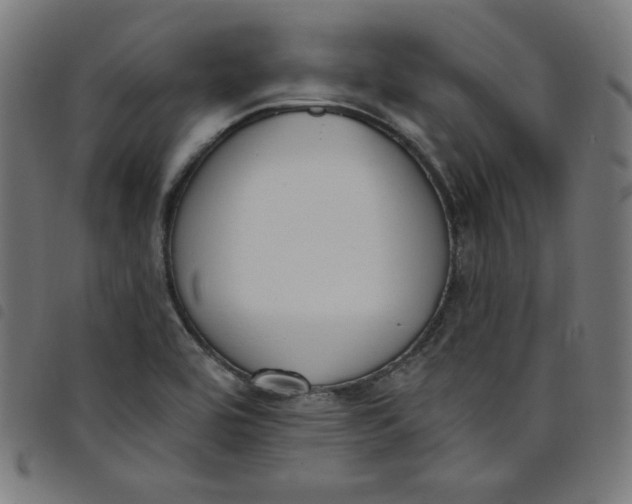 X0000098091464200804251243
