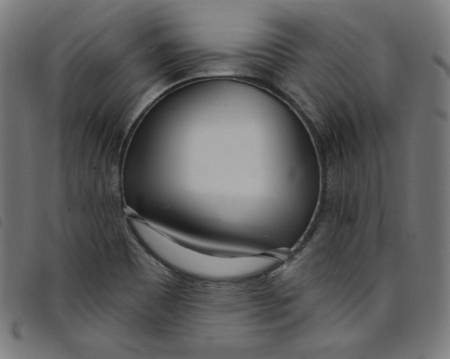 X0000098091465200804251243