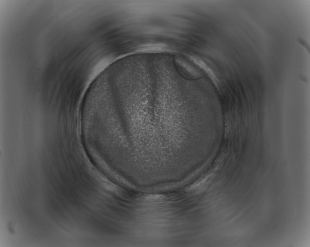 X0000098091467200804251243
