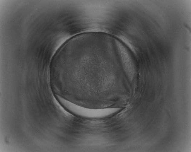 X0000098091468200804251243
